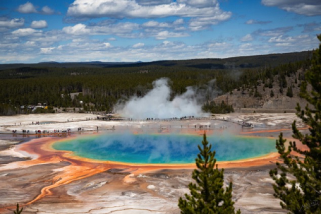 Grand Prismatic Springs
Grand Prismatic Overlook Trail
Yellowstone